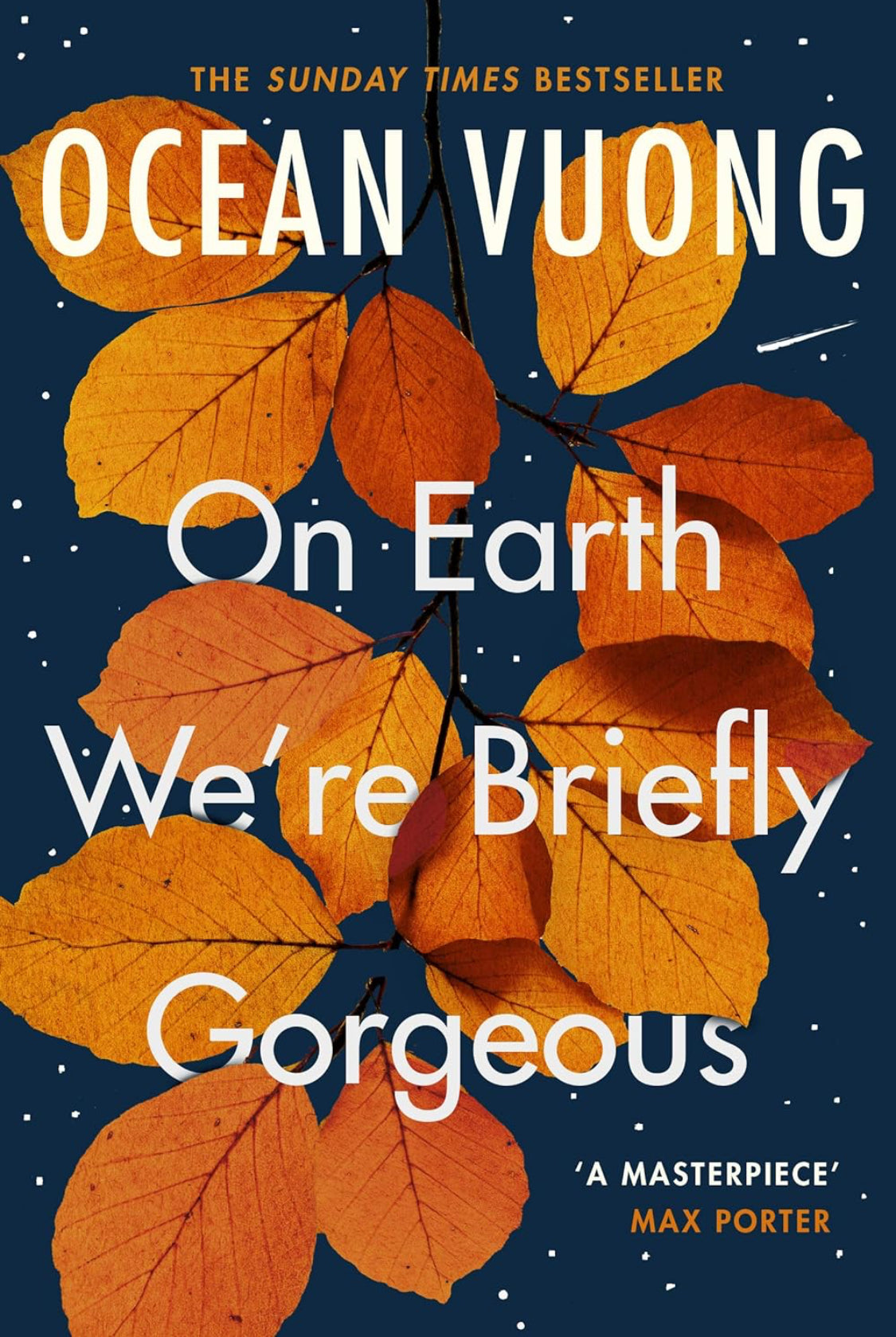 On Earth We're Briefly Gorgeous - ReadMoreDXB