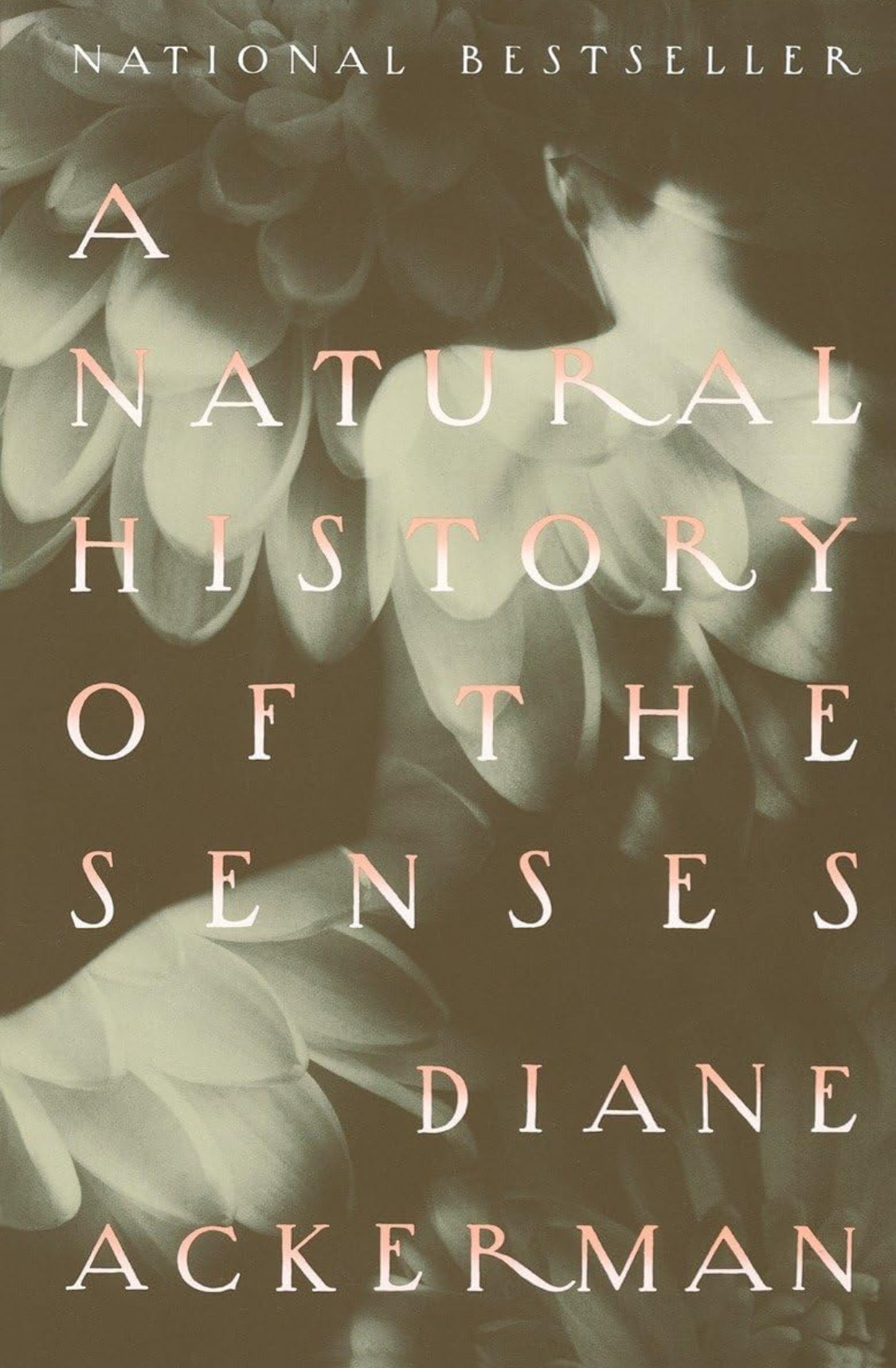 A Natural History of the Senses - ReadMoreDXB