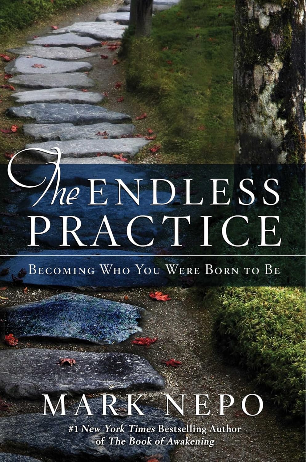 The Endless Practice