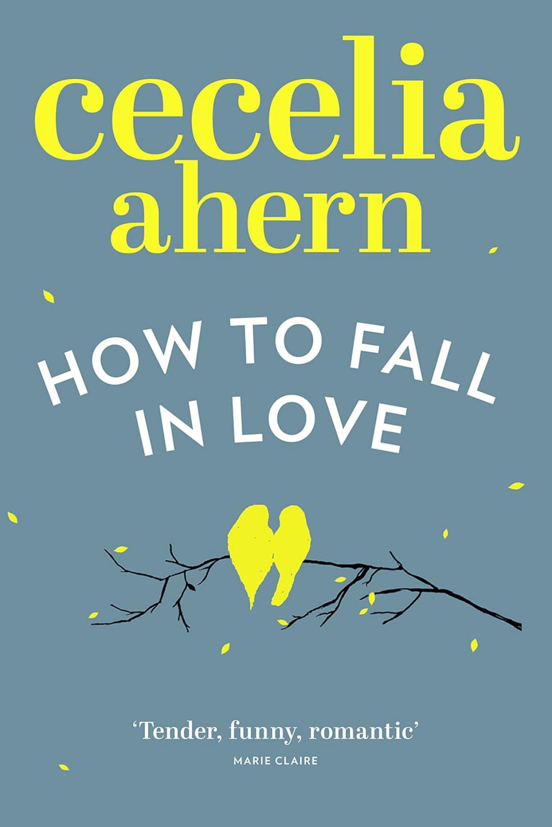 How to Fall in Love