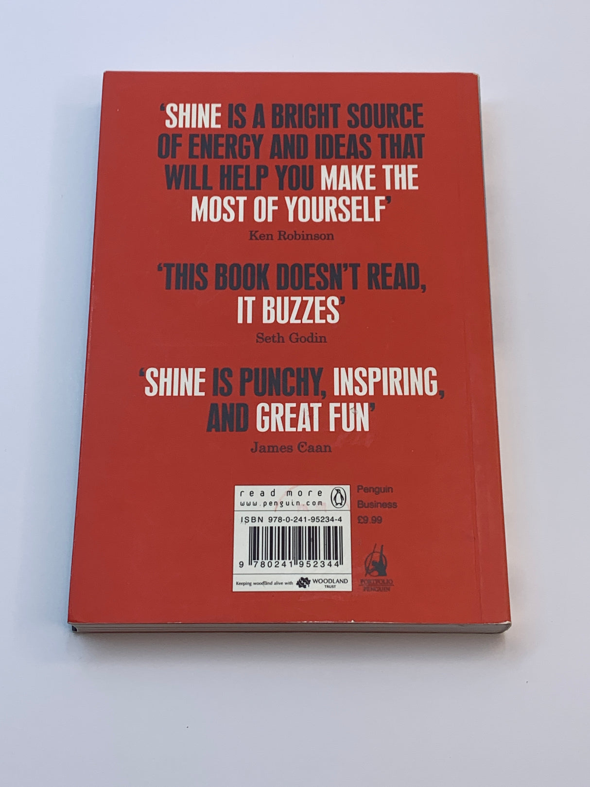 Shine: How to Survive and Thrive at Work
