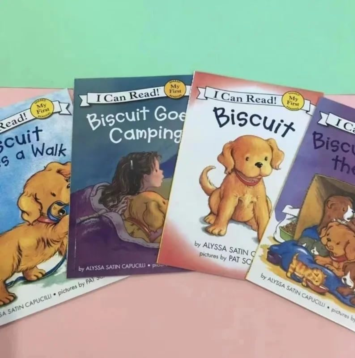 I Can Read Biscuit Children Story Kids Early Educaction Reading Bᴏᴏᴋ (27 Bᴏᴏᴋs)