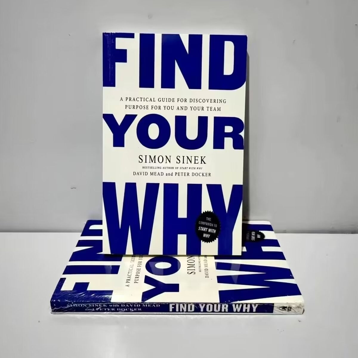 Find Your Why: A Practical Guide For Discovering Purpose For You And Your Team