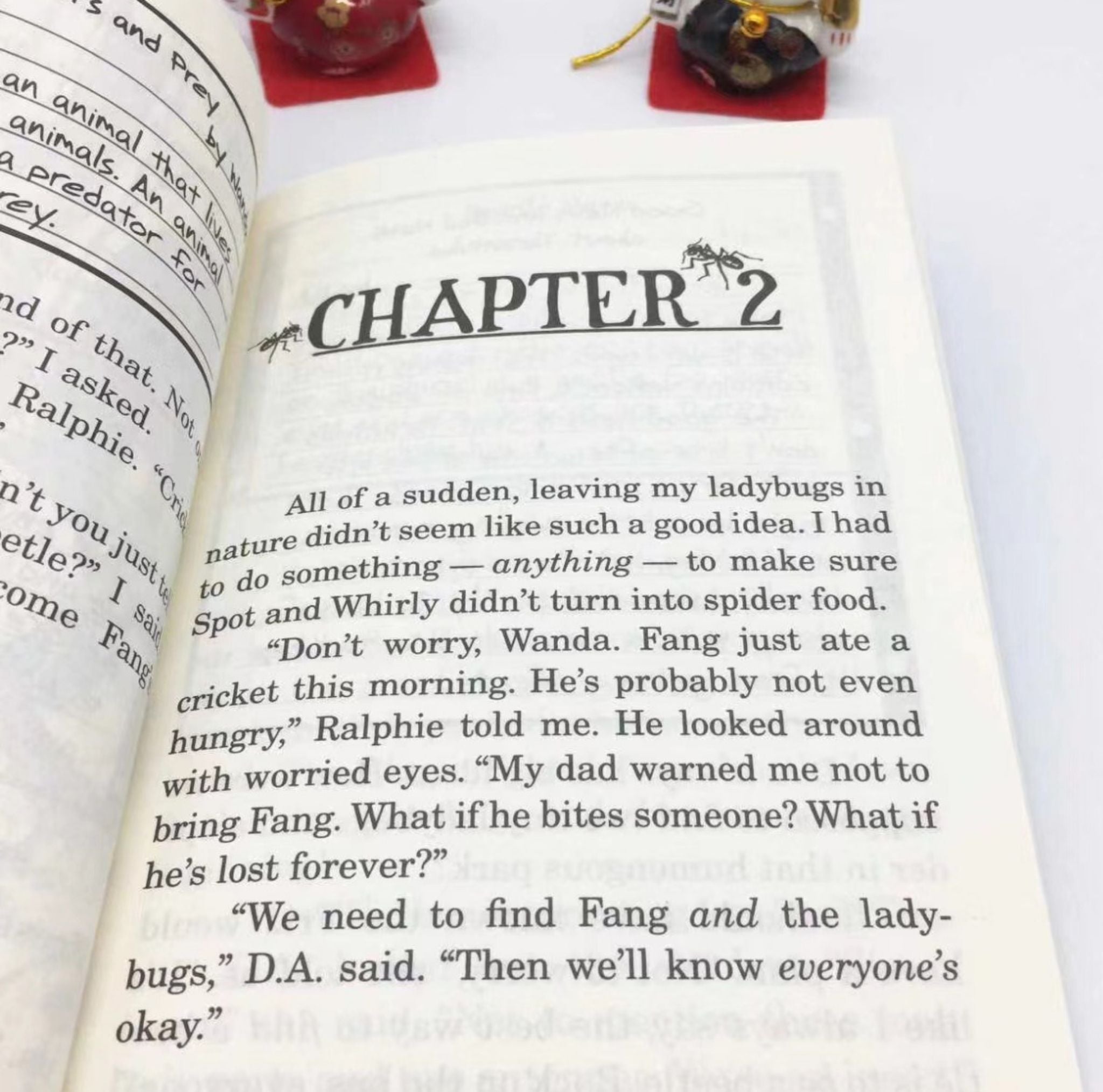 Magic School Bus Discovery Set 1-2 – ReadMoreDXB